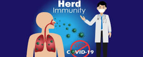 herd-immunity-and-covid-19