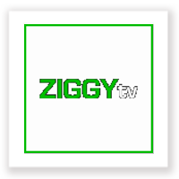 ziggy-tv