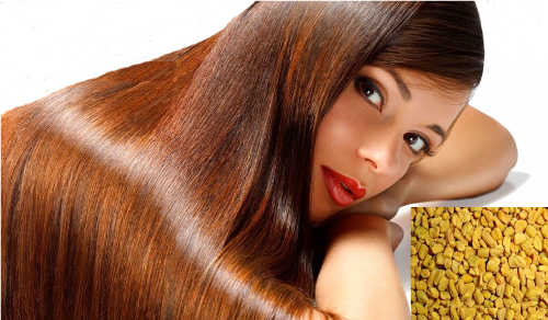 fenugreek-seed-for-hairloss