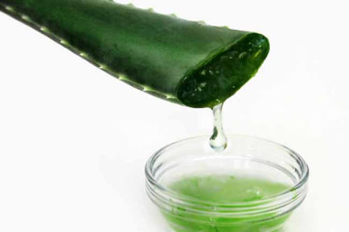 aloe-vera-for-skin