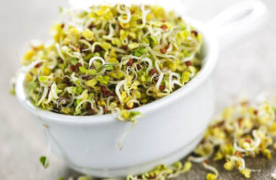 benefits of sprouts